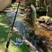 Gavin Daniel - Facebook
