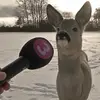 Gavin Daniel - @gavin.daniel77 - TikTok