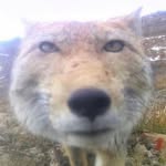 Gavin Daniel Stringfellow - @gavinstringfellow1 - Instagram