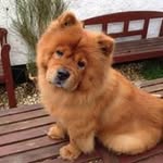 Gavin Davison - @gdavidson001 - Instagram