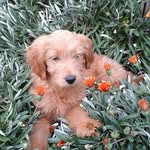 Gavin Davison - @gdavison007 - Instagram