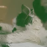 Gavin Cruz DeLeon - @its_totally_a_different_gavin - Instagram
