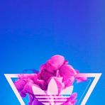 Gavin De Leon - Facebook