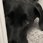 Gavin Dempsey - Facebook