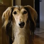 Madeleine Gavin Dempsey - @madeleinegavin - Instagram
