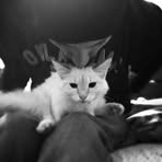 Gavin DeWolf - Facebook