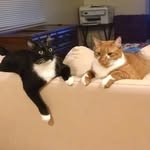 Wendy Gavin DeWolf - @w.dewolf - Instagram