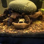 Gavin Dickerson - Facebook