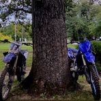 Gavin Dickerson - Facebook