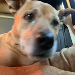 Gavin Dilley - @gavin_dilley_ - Instagram