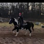 gavin dillard - @dillard.gavin - Instagram