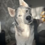 Gavin Dillon - @dillon.gavin - Instagram