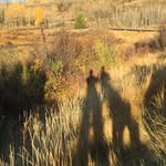 Rachel and Gavin Docherty - @fotozjarvin - Instagram
