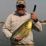 Gavin Dreyer - @dreyergavin - Instagram