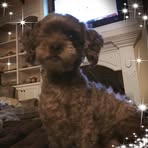 Gavin Dutton - Facebook