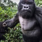 Gavin Duvall - @_gavin_c_duvall_ - Instagram