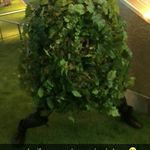gavin earley - @gavin.earley - Instagram