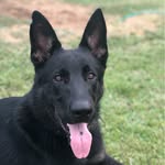 Gavin Easterling - @gavineasterling - Instagram