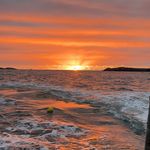 Gavin Eaton - @gavin.eaton.986 - Instagram