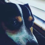 Gavin Edmonds - @edmondsgavin - Instagram