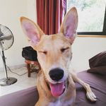 Gavin Edmondson - @gavinedmondson - Instagram