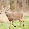 Gavin Edwards - @gavin.edwards547 - TikTok