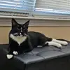 gavin - @gavin.edwards1 - TikTok