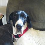 Gavin Ellison - @awsomeguy140 - Instagram