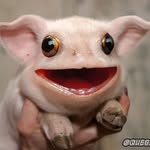 Gavin Erickson - @at.sqishy - Instagram