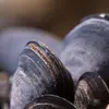 ernestgavina - @ernestgavina - TikTok