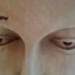 Gavin Estes - @toastscrambled - Instagram
