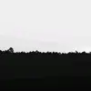 Gavin Estrada - @gavin_estrada - TikTok