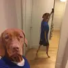 Gavin Estrada - @gavin.estrada - TikTok