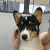 Gavin Estrada - @g.e2189 - TikTok
