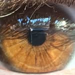 Gavin Everett - @gavin.386 - Instagram