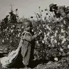 Gavin feeman - @gavin.foreman3 - TikTok