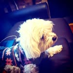 Gavin Farmer - @farmergavin033 - Instagram