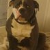 Gavin Farrell - Facebook