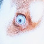 Gavin Farrell - @roarantine - Instagram