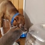 Gavin Fast - @fast.gavin - Instagram