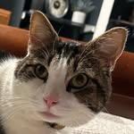Gavin Feuerstein - @feuersteingavin - Instagram