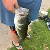 Gavin Fields - @gavinfields63 - TikTok