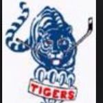 Gavin Findlay 12 years old - @gav_wildcats14 - Instagram