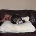 Gavin Findlay - Facebook