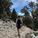 @gavinfinley - Instagram