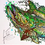 Gavin Erwin fish artist - @gavinerwin - Instagram
