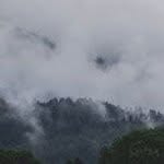 Gavin Fisher - @gavinfisher26 - Instagram