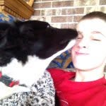 Gavin Flickinger - @gavinflickinger00 - Instagram