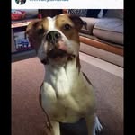 Gavin Foote - @gman0707__ - Instagram