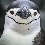 Gavin Ford - @gavin56ford - Instagram